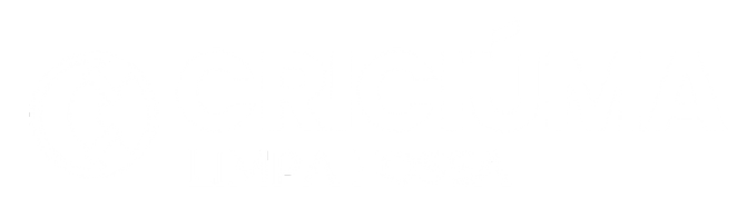 Cliente Blackleads - Desentupidora